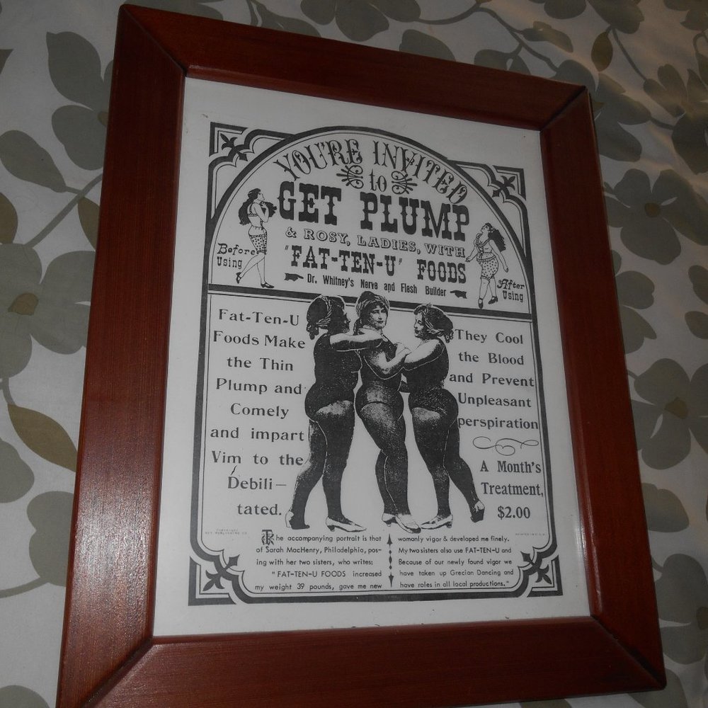 TOO FUNNY!! Antiq.Repro.Sign "U R INVITED TO GET PLUMP" $2 Mo. Treatment!!